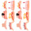 48Pcs Assorted Rubber Scary Fake Teeth Props for Halloween Party 1