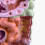 Human Digestive System Model Stomach Anatomy Large Intestine Cecum Rectum Duodenum Human Internal Organs Structure Model 4