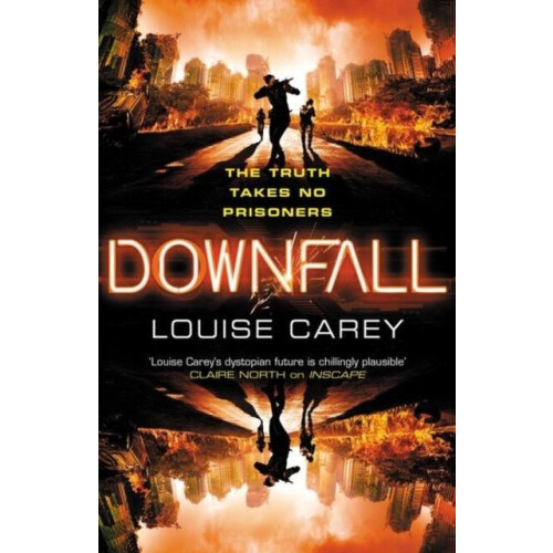Downfall by Louise Carey Paperback Book