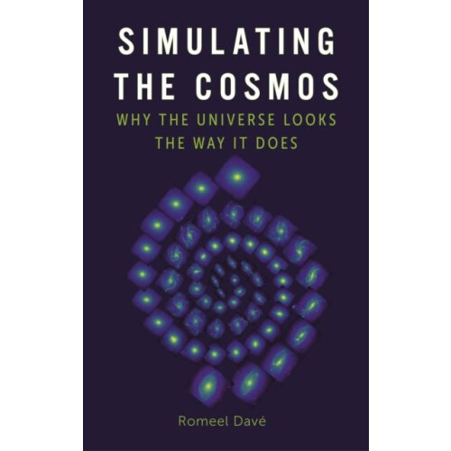 Simulating the Cosmos by Romeel Dave Hardcover Book