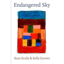 Endangered Sky Sean Scully amp Kelly Grovier Hardcover Book