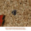 30Pcs Multifunctional Push Pins Hooks for Decorative Wall Hanging 7