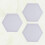 6Pcs Hexagon Canvas Boards White for Painting Artists DIY Projects 10