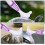 10Pcs Small Shell Mud Remover Brush for Aquatic Use 8