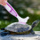 10Pcs Small Shell Mud Remover Brush for Aquatic Use 9