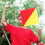 10Pcs Outdoor Handheld Commanding Signal Flags Polyester 2