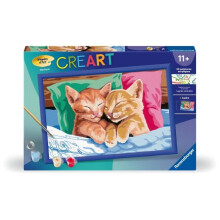 CreArt Kids 31x21cm schlafende Kätzchen