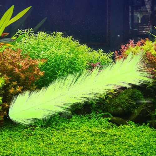 4Pièces Synthétique Pour Aquarium Reproduction 2