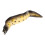 5Pcs Compact Beige Sea Eel Figurines Realistic Marine Creature Toys 3