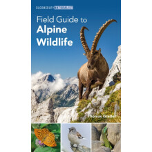 Field Guide to Alpine Wildlife by Thomas Gretler Paperback Book
