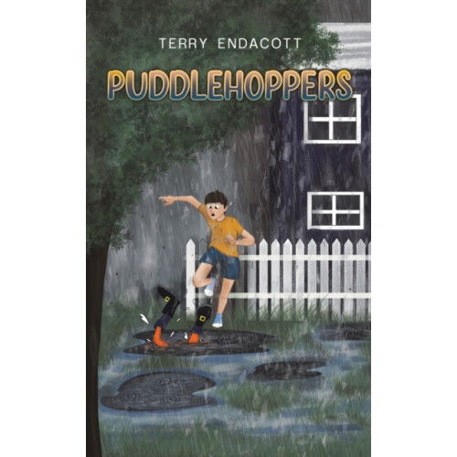 Puddlehoppers by Terry Endacott Paperback Book
