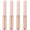 4Pièces Pinceaux Rose Pour Et Gloss 6
