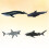 8 Pcs Children's Educational Simulation Marine Animal Models Set 8