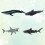 8 Pcs Children's Educational Simulation Marine Animal Models Set 10
