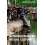 Introduction to Visual Culture by Nicholas Mirzoeff Paperback Book 1