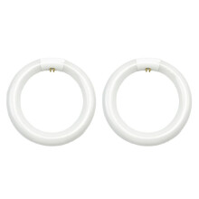 2pcs FC8T9/CW Circular Fluorescent Light Bulb,8Inch Round T9 22W Circline Bulbs Replacement for Circle Ceiling Fixture