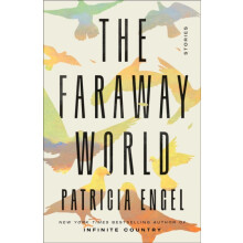 Faraway World by Patricia Engel Hardcover Book