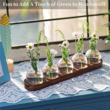 Plant Terrarium Propagation Station, Glass Planter Bulb Vase with Wooden Tray, Modern Bud Vases for Living Room Office