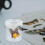 2Pièces Container Loupe ABS Transparent Pour Insectes Et Apprentissage 4
