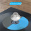 Record Weight Clamp Audio LP Vinyl Turntables Disc Stabilizer LP Disc Stabilizer Turntable Clamp HiFi Silver 4
