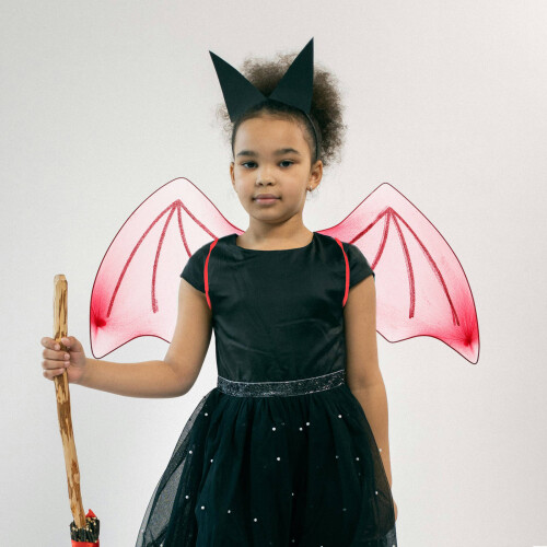 3Pcs Wing Decoration Lightweight Halloween Wings for Adults 2