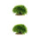 2Pcs Compact Plastic Aquarium Plants Tank Decor Accessories 10