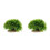 2Pcs Compact Plastic Aquarium Plants Tank Decor Accessories 5