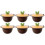 6Pcs Brown Mesh Sink Strainer Basket Tpr Stopper for Kitchen Drain 6
