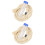 2Ensembles Ensemble Corde Bleu Échantillonnage Salive Porc Usage 5