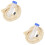 2Ensembles Ensemble Corde Bleu Échantillonnage Salive Porc Usage 6