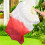 4Pcs Lightweight Folding Fans Professional Hand Fan for Square Dancing 9