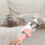 4Pcs Convenient Pink Plastic Cat Feeding Spoon Dirt-Free Design 10