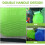Praktische Groene Plastic Vis- En Garnalenemmer 6
