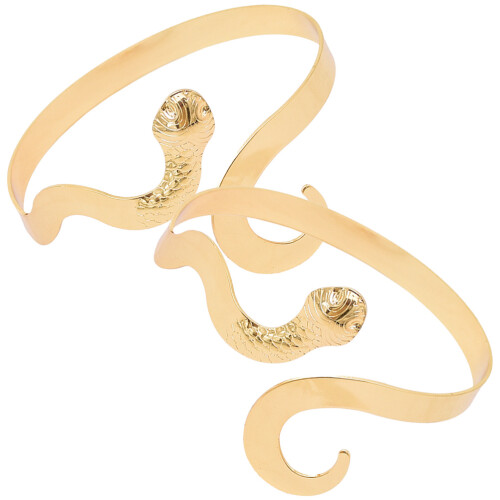 Gouden Snake Bangle Arm Cuff Sieraden Dames & 2