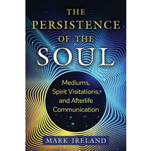 Persistence of the Soul by Mark Ireland Paperback Book