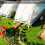 10 pcs Model LED Street Lamp Lighting Single  Train Layout Landscape 1: 100 5