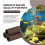 3 Pcs Brown Ceramic Shelters - Shrimp , Breeding Tube, Hiding Cave 3