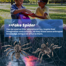 2Pcs 9.5cm Large Fake Realistic Spider Insect Model Toy Fun Halloween Scary Prop