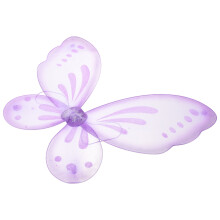 2Pièces Ailes Costume Pour Fête Et Cosplay