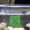 en artificielle en doux pour aquarium 5