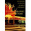 Electrographic Architecture by Carolyn L. Kane Paperback Book 1