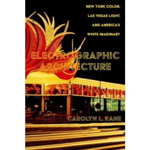 Electrographic Architecture by Carolyn L. Kane Paperback Book