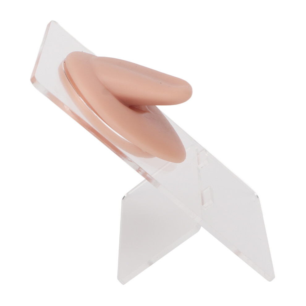 Silicone Tongue Model for Piercing Practice & Display - Medium Skin