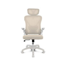 Ergonomic Chair Drift DRAIR35 Beige Mesh Back Reclining Armrests Foldable 120 kg