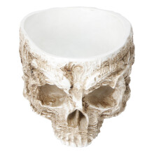 Maceta con forma de calavera retro, diseño único para el escritorio de tu oficina en casa o bar, decoración de resina de alta resistencia con