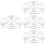4Pcs Multi-Function Silver Egg Steaming Rack Kitchen Supply 6