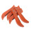 15Pcs Heavy-Duty Water Feature Cleaning Tool for Spillway 3