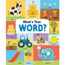 Whats That Word by Emily Kington Hardcover Book