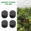 40 Pcs Garden Clone Collars Neoprene Inserts Sponge Block para 2 Polegada Net Pots Hydroponics Systems e Cloning Machines 5