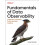 Fundamentals of Data Observability by Andy Petrella Paperback Book 1